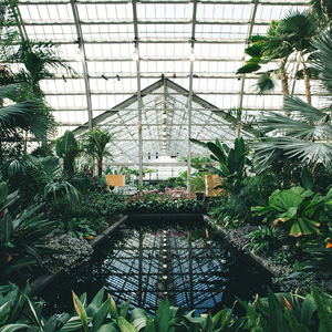 乖乖女的嫩奶头被同桌吸
