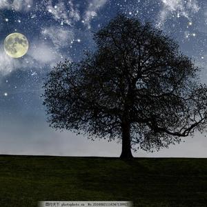 乖乖女的嫩奶头被同桌吸
